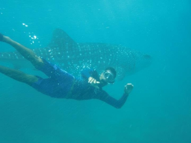 Guias de snorkel